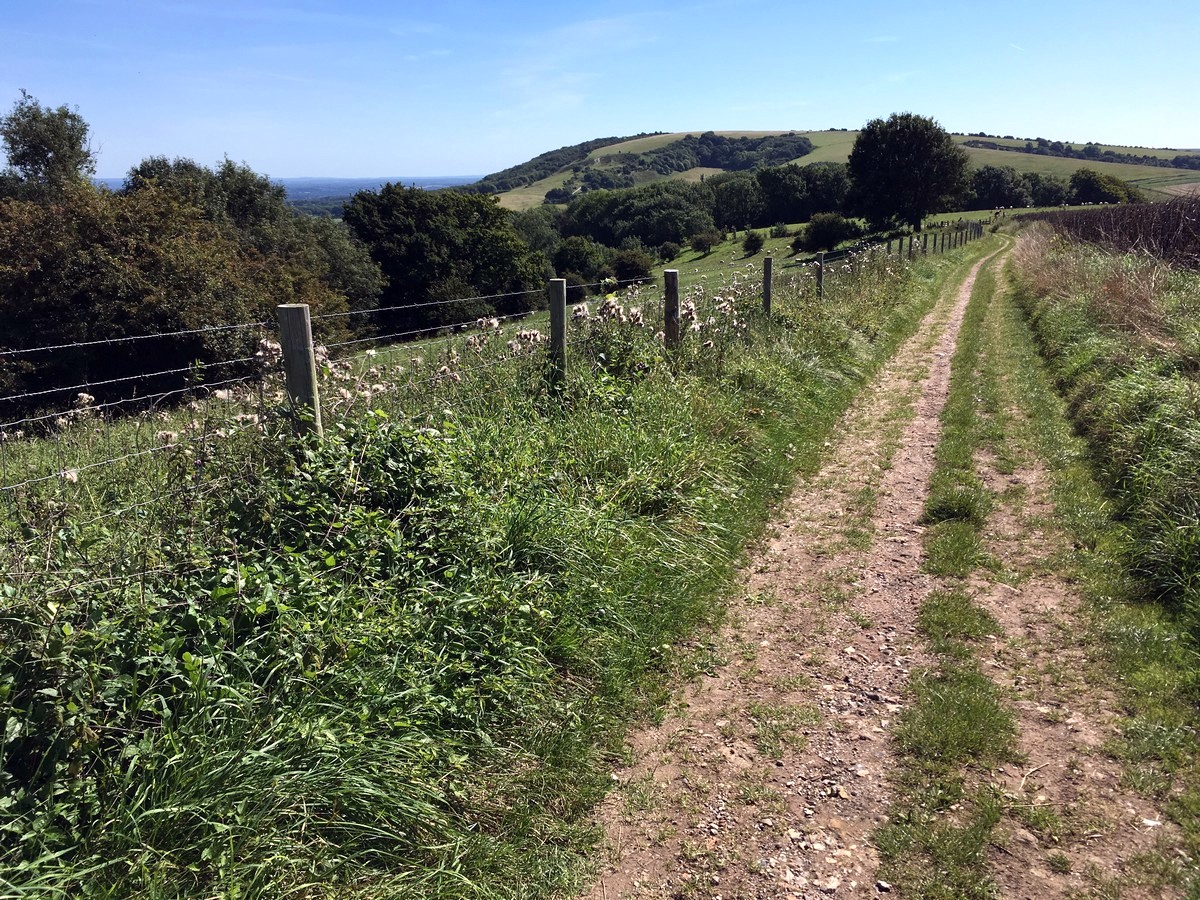 Along the trail of the Amberley to Shoreham-by-Sea Hike in South Downs, England in South Downs, England