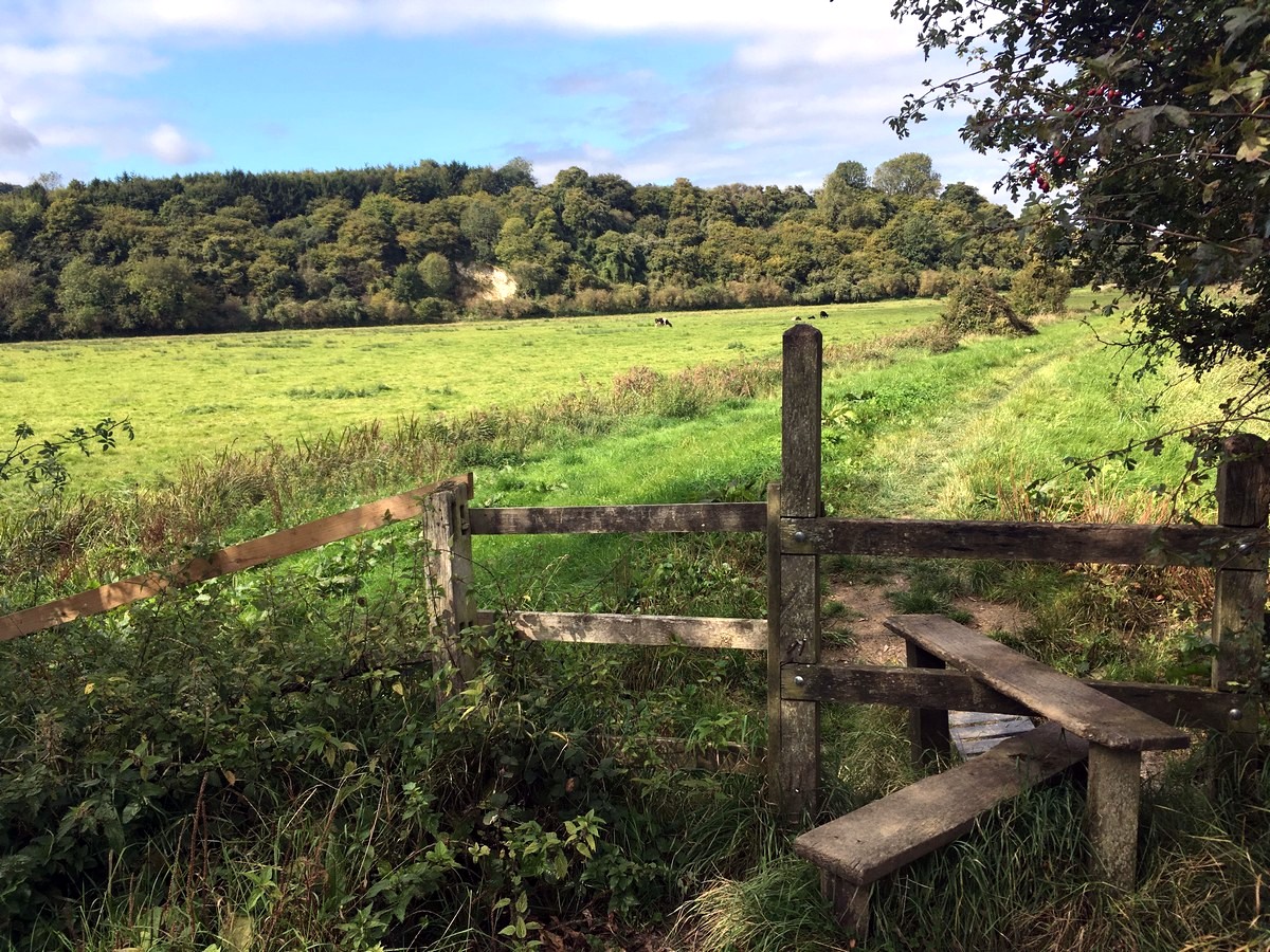Crossing a stile near South Stoke farm on the Arundel Castle and Pubs Hike in South Downs, England