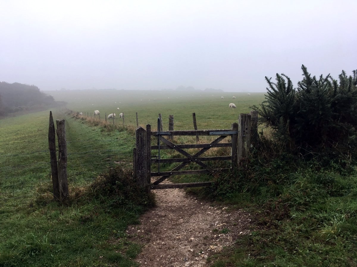 A foggy morning on the Downs on the Hassocks to Lewes Hike in South Downs, England