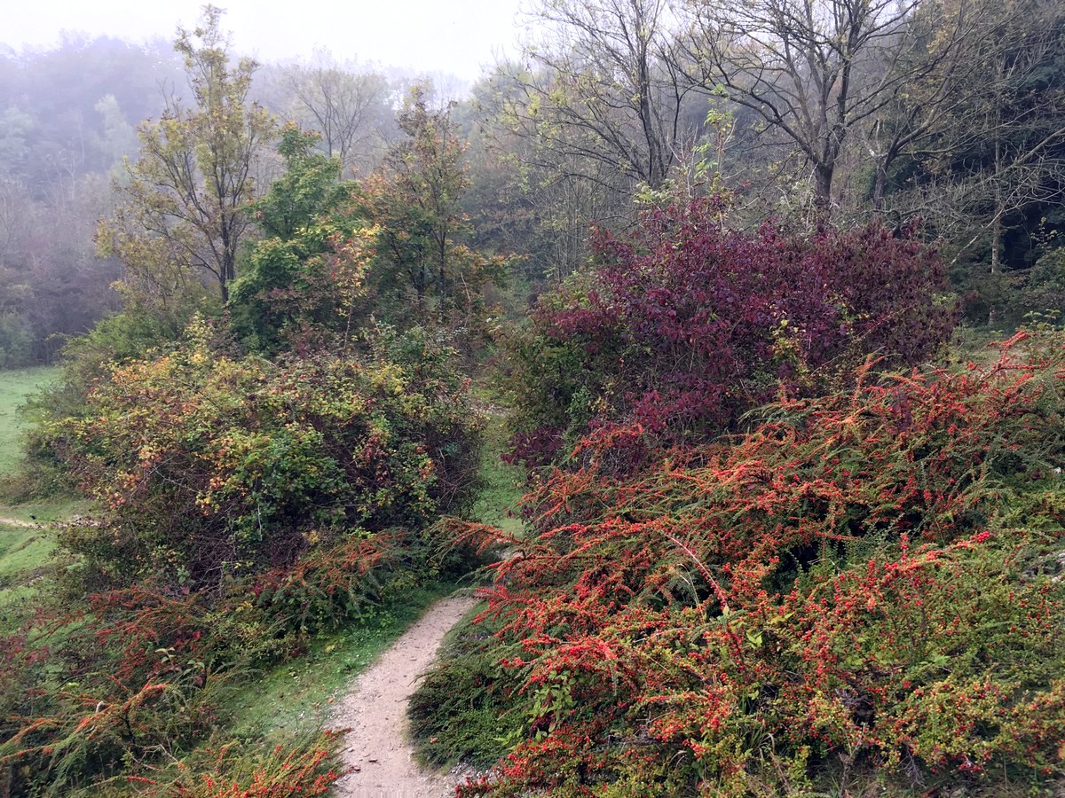 The trail through the disused chalk pit on the Hassocks to Lewes Hike in South Downs, England