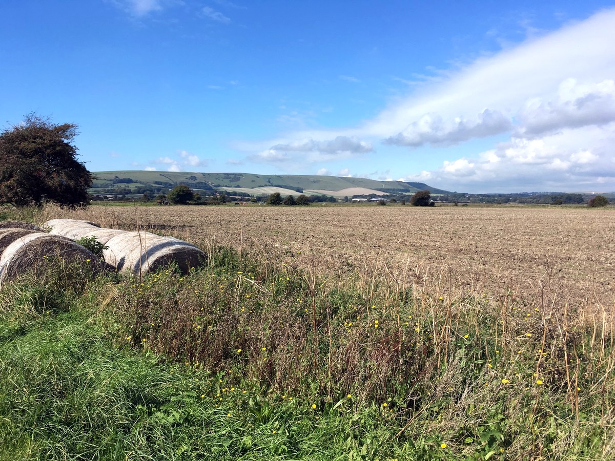 Fields near Rodmell from the Southease and the River Ouse Hike in South Downs, England