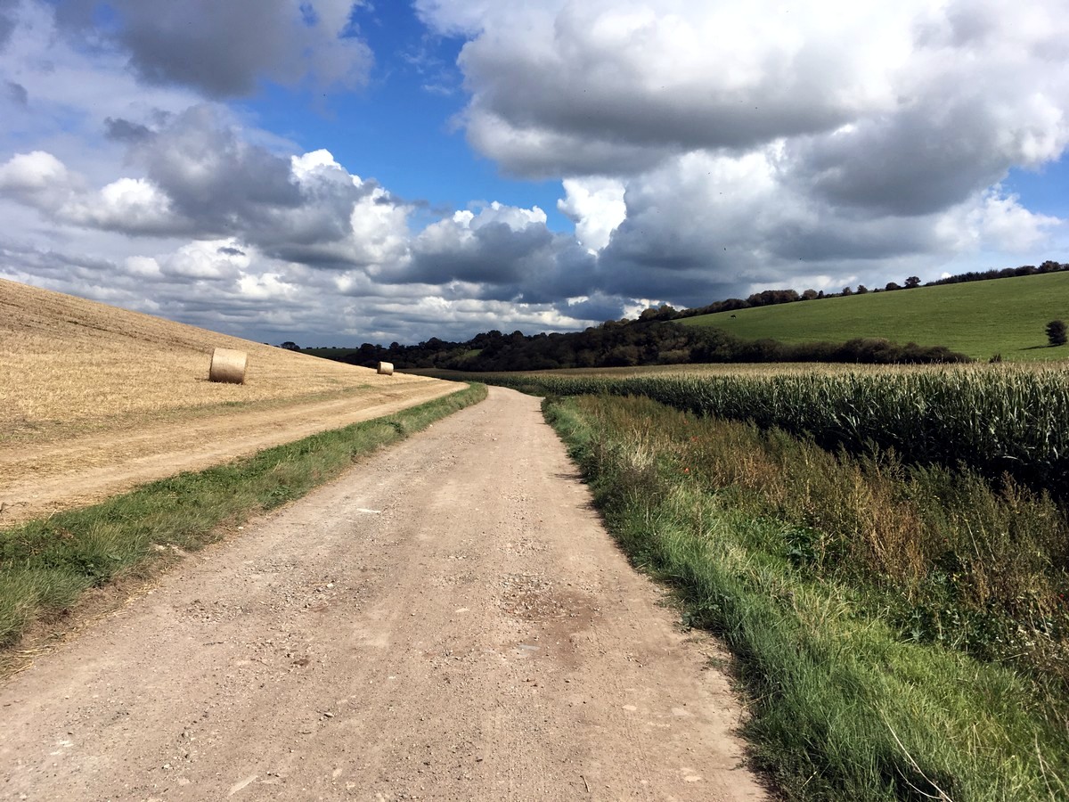 The fields along the Southease and the River Ouse trail in South Downs, England