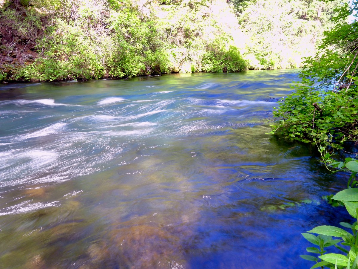 Swift Water on the West Metolius River Hike near Bend, Oregon