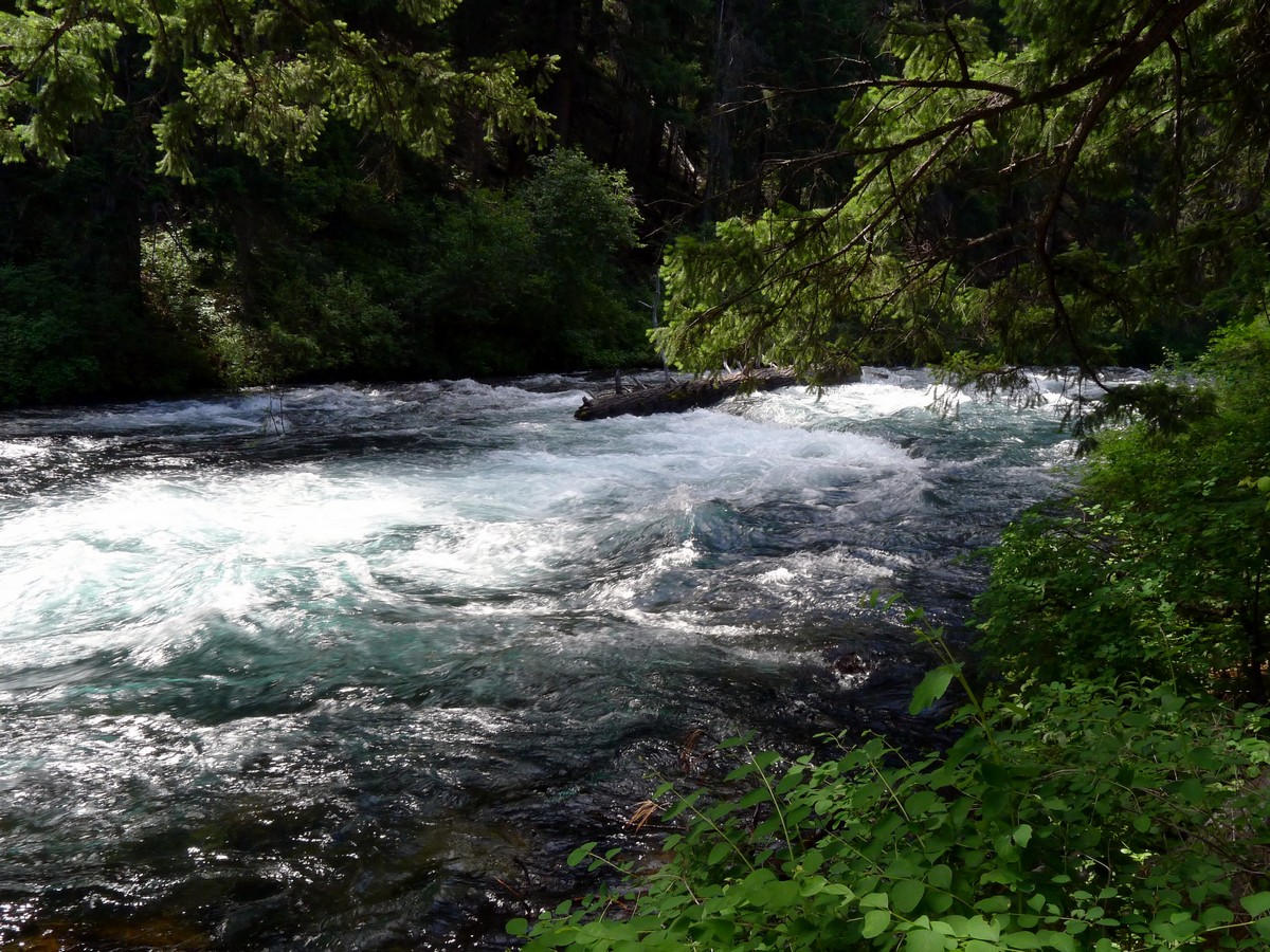 Whitewater on the West Metolius River Hike near Bend, Oregon