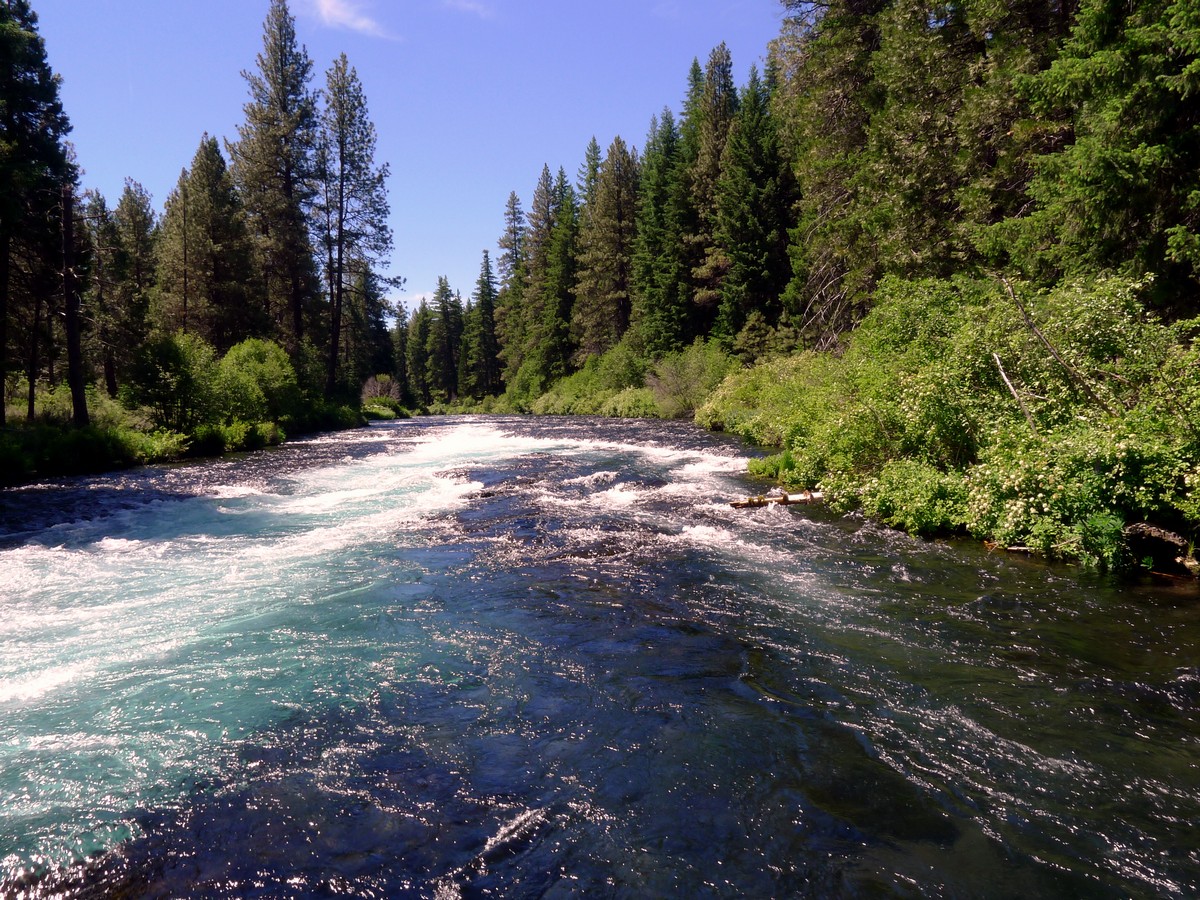 Clear blue water on the West Metolius River Hike near Bend, Oregon