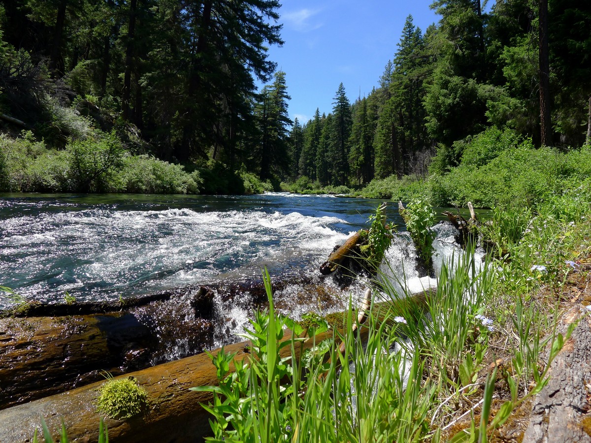 Whitewater on the West Metolius River Hike in Bend