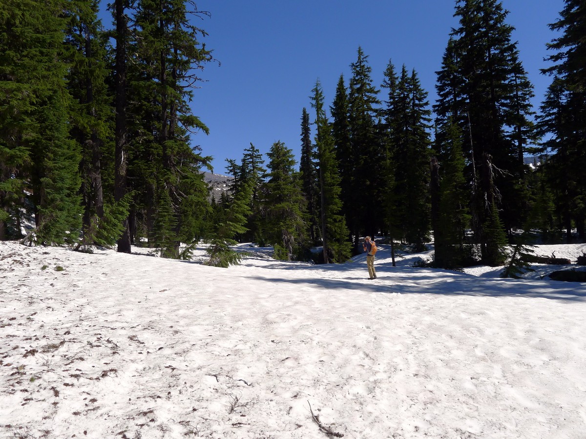Snow covering the trail on the Green Lakes Hike near Bend, Oregon