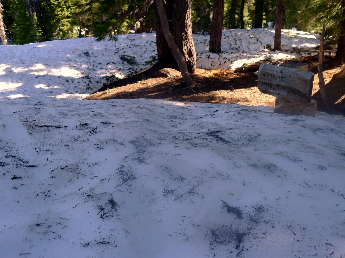 Sign covered by snow on the Green Lakes Hike near Bend, Oregon