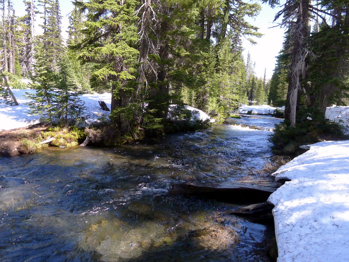 The beautiful river on the Green Lakes Hike near Bend, Oregon