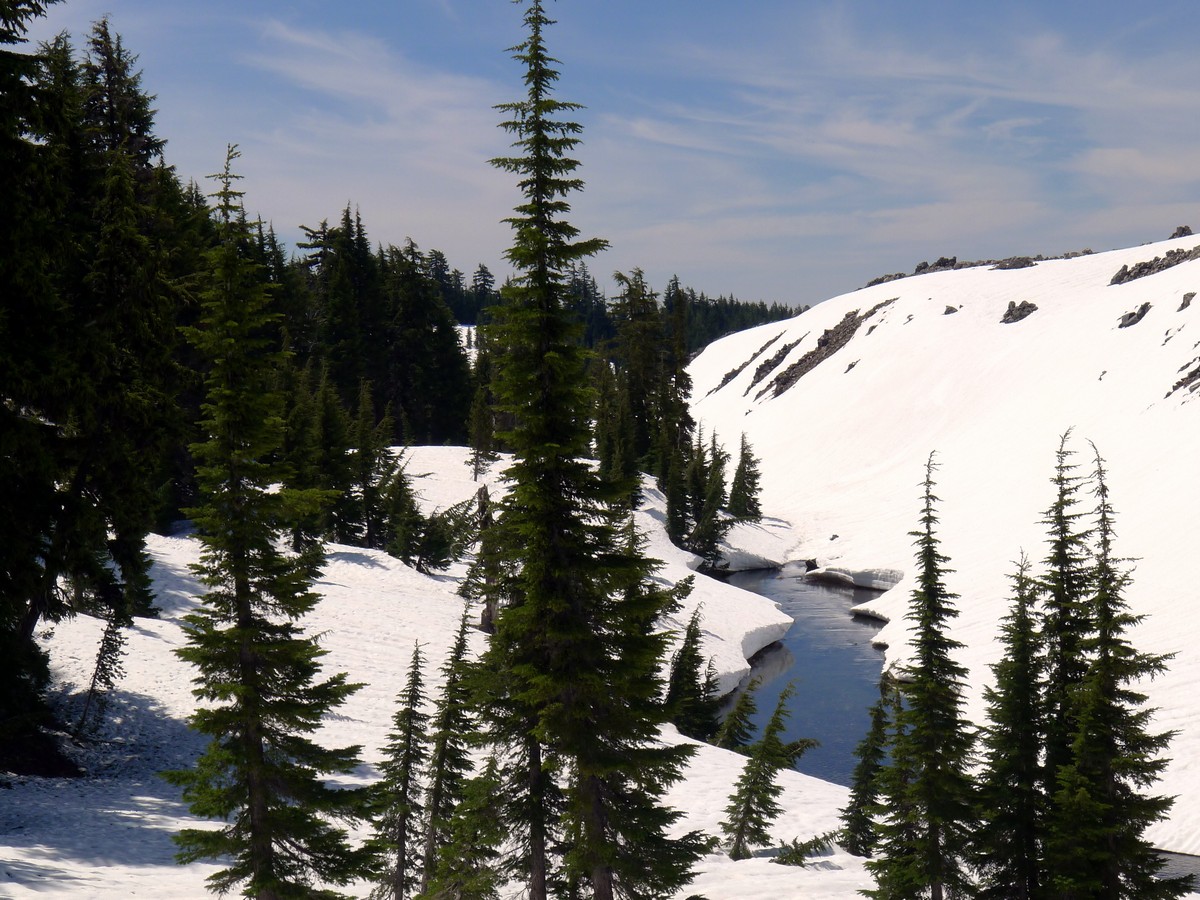 River drainage on the Green Lakes Hike near Bend, Oregon