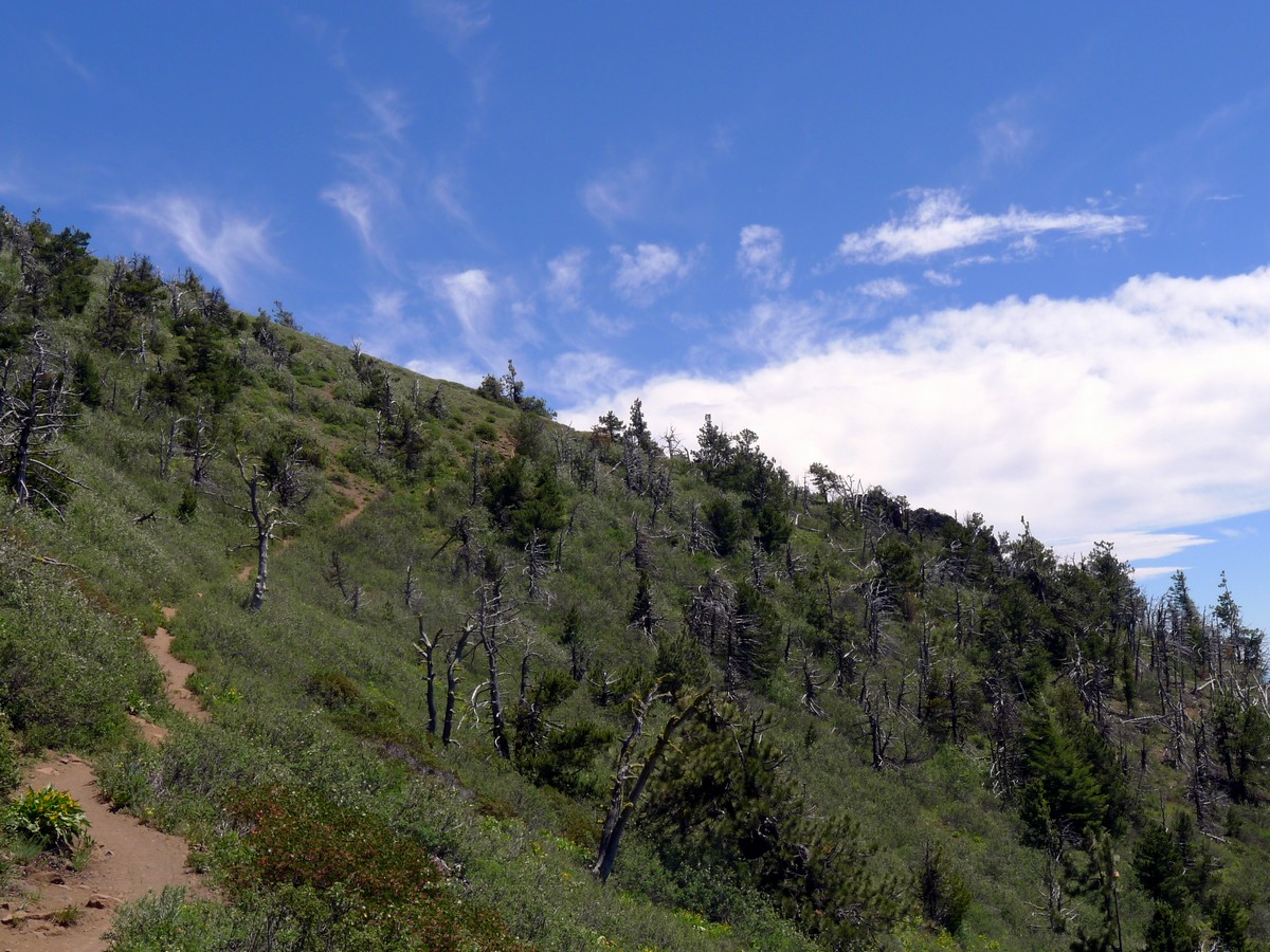 Trail along the steep sides on the Black Butte Hike near Bend, Oregon