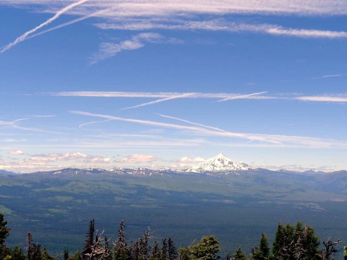 Mt Jefferson view on the Black Butte Hike near Bend, Oregon