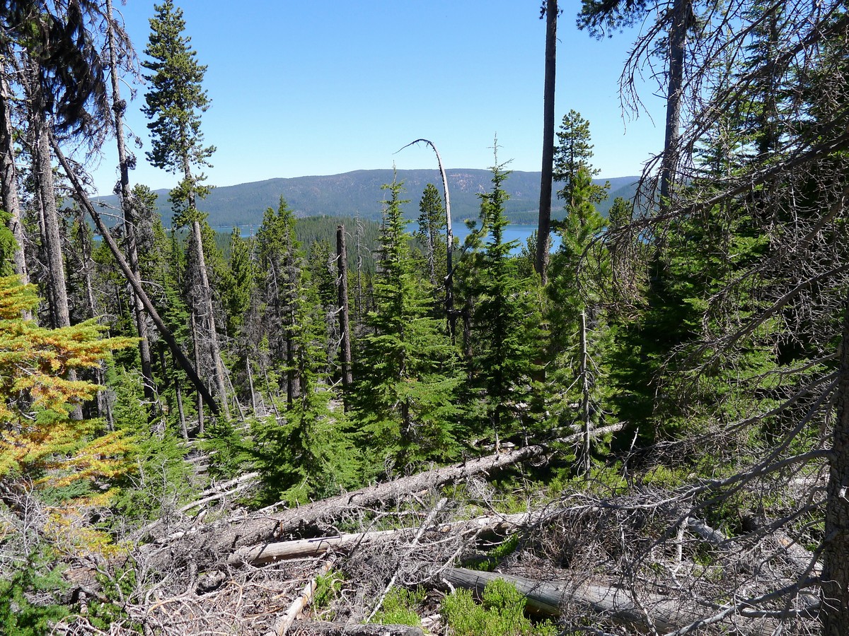 Gaining elevation on the Paulina Peak Hike near Bend, Oregon