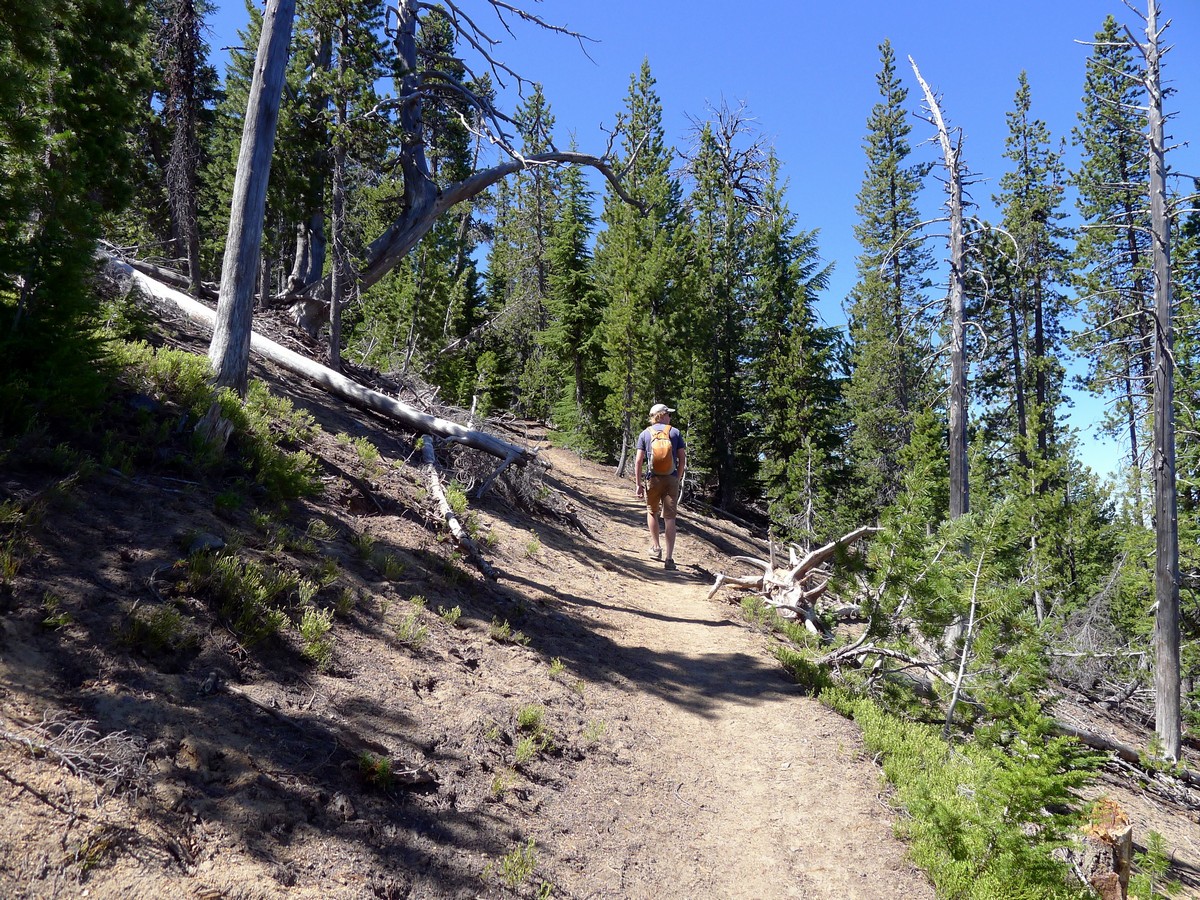 Switchbacking on the Paulina Peak Hike near Bend, Oregon