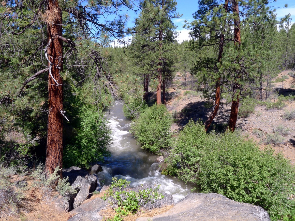 View of the above the river on the Whychus Creek Trail Hike near Bend, Oregon