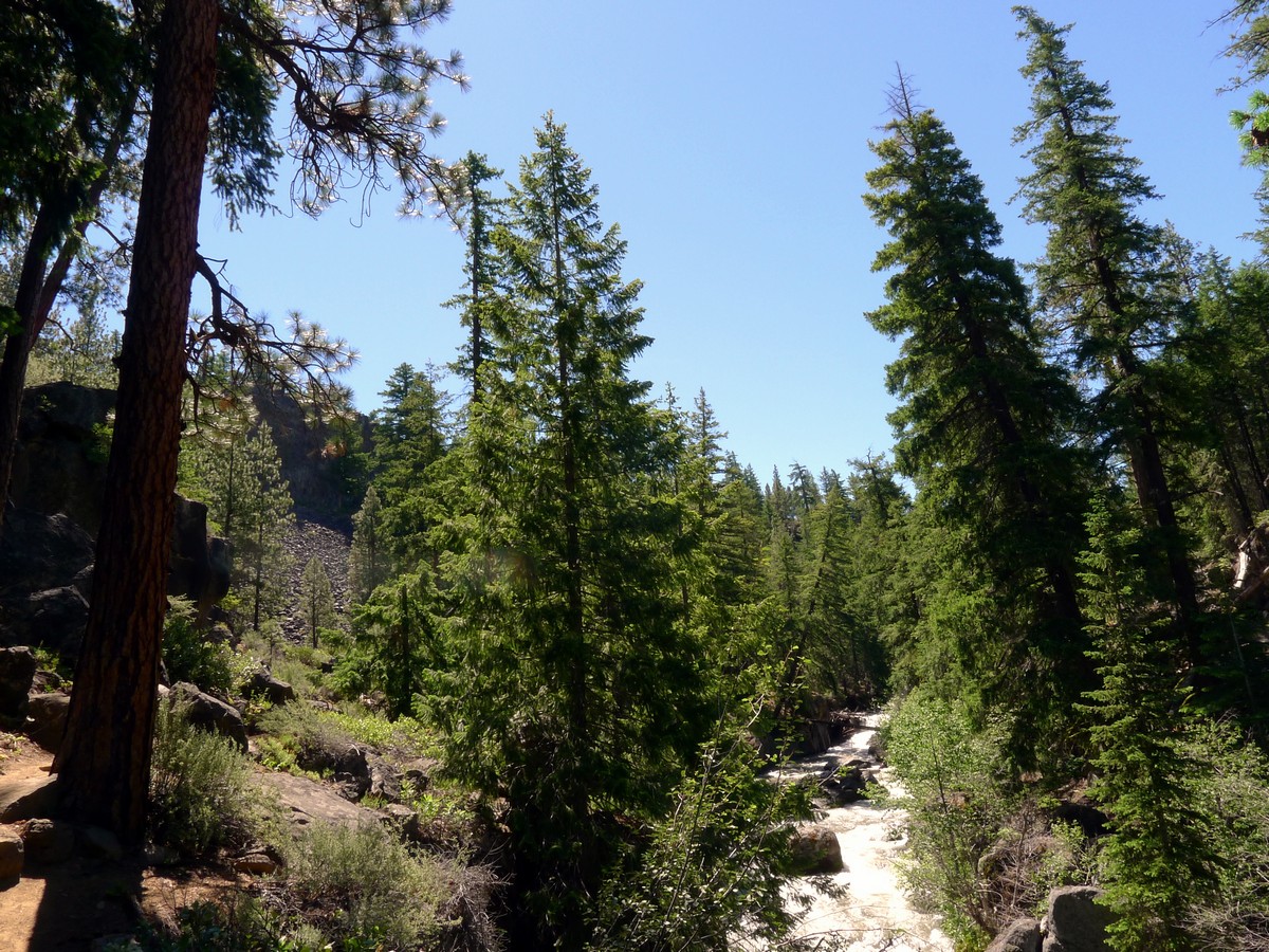 River along the Whychus Creek Trail Hike near Bend, Oregon