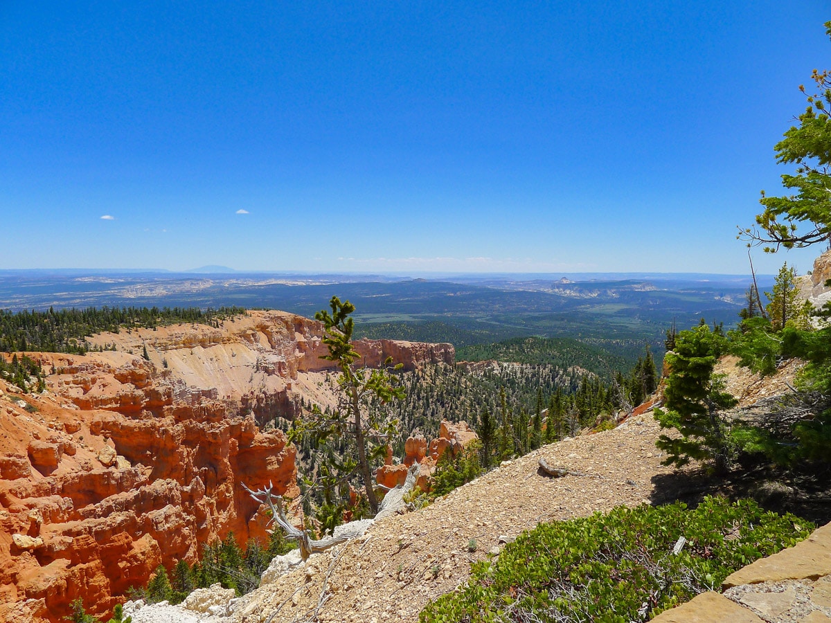 View towards the lower canyon basin on Bristlecone Loop trail hike in Bryce Canyon National Park