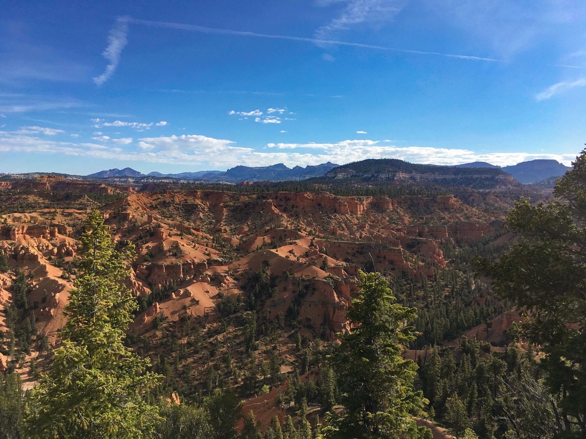 Stunning red sand on Cassidy trail hike in Bryce Canyon