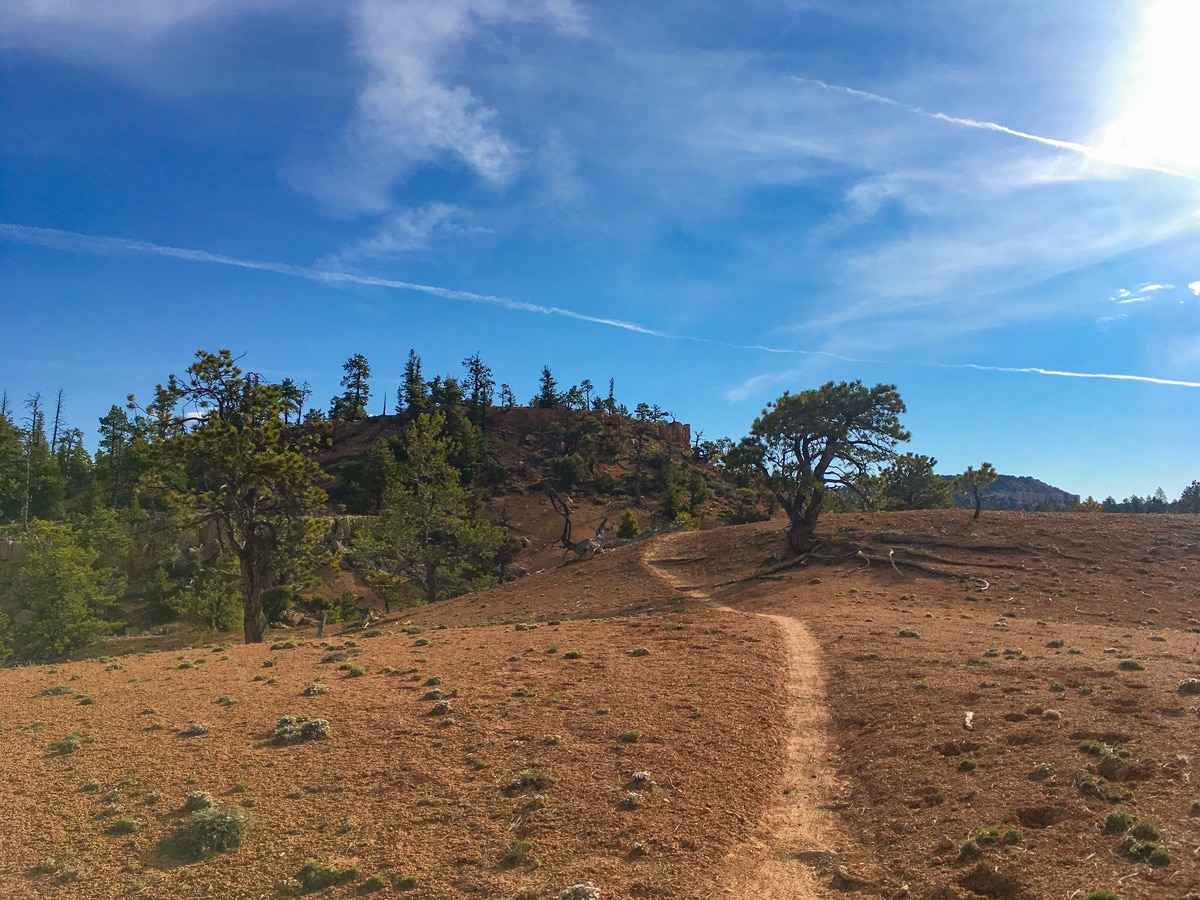 Narrow singletrack trail on Cassidy trail hike in Bryce Canyon National Park