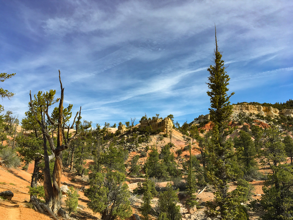 Cassidy trail hike in Bryce Canyon National Park surrounded by white cliffs