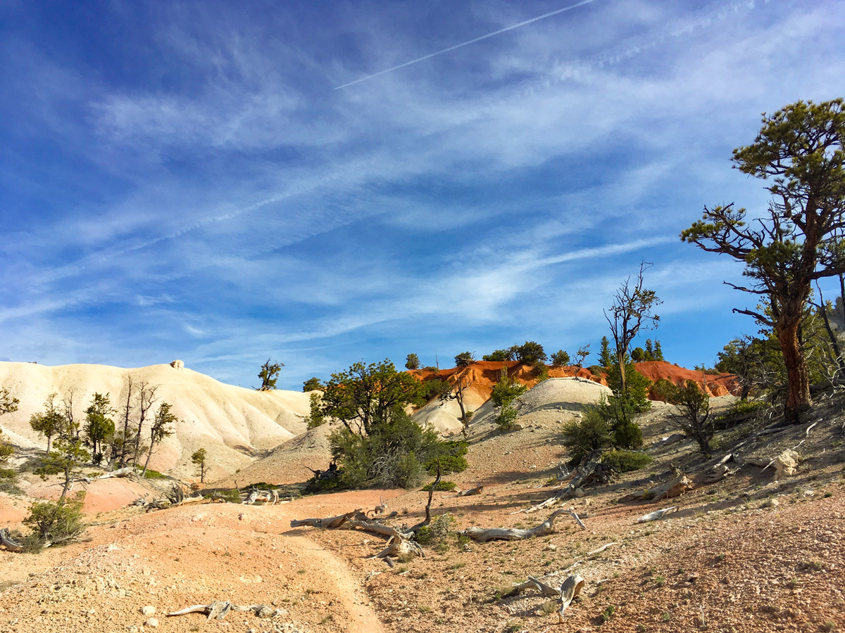Small impressive white desert on Cassidy trail hike in Bryce Canyon National Park