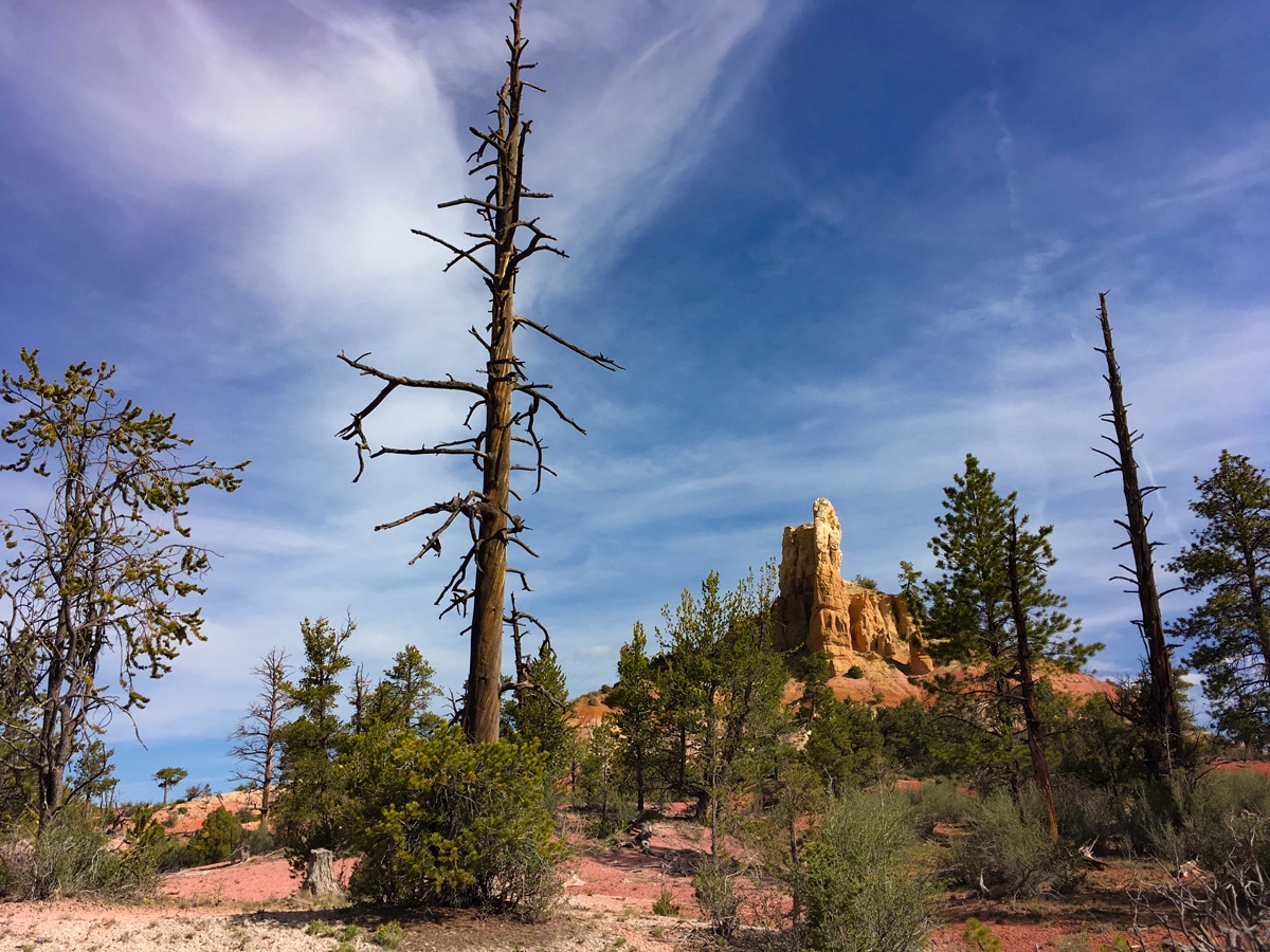 Mexican hat peak on Cassidy trail hike in Bryce Canyon National Park