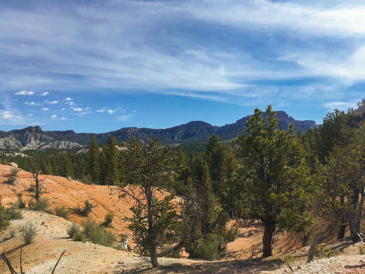 Views from the rim on Cassidy trail hike in Bryce Canyon