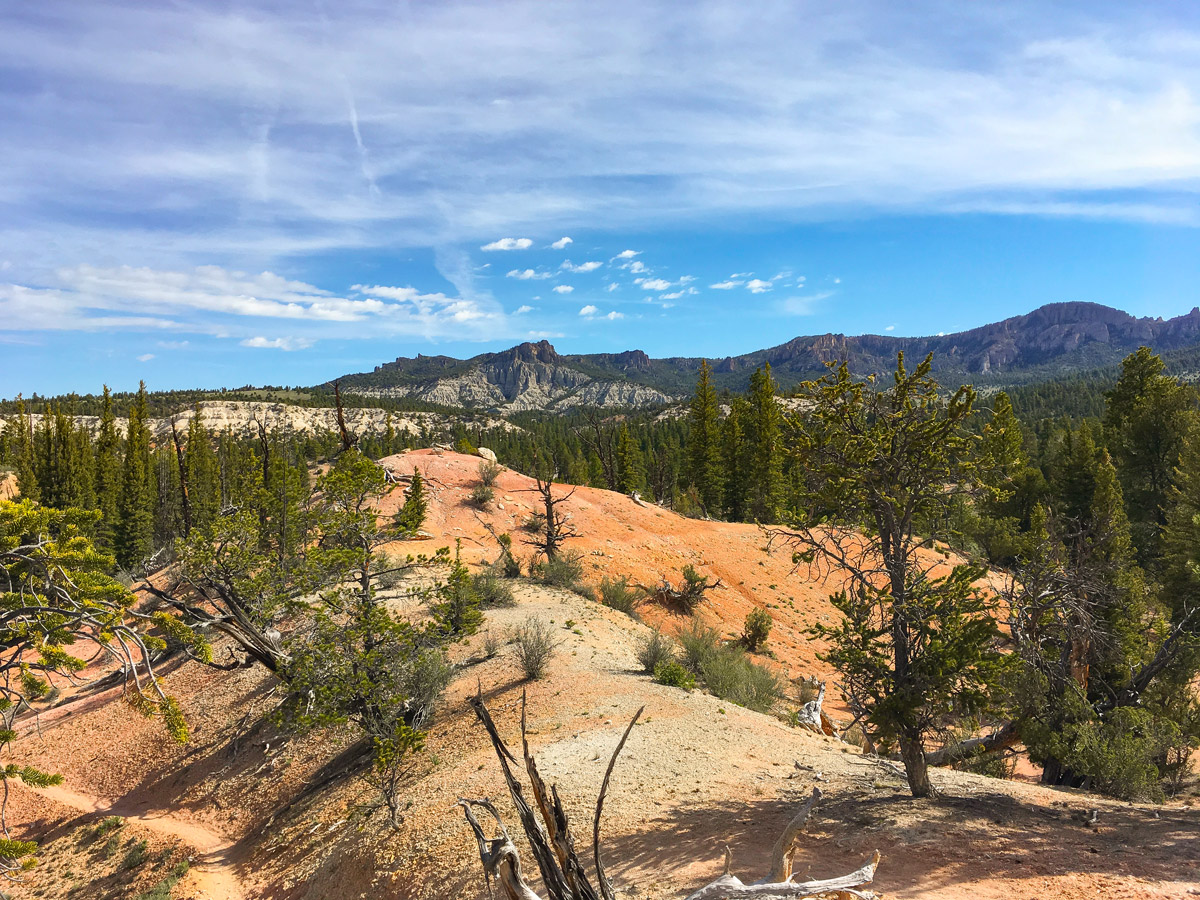 Stream at the end of the Cassidy Trail on Cassidy trail hike in Bryce Canyon National Park