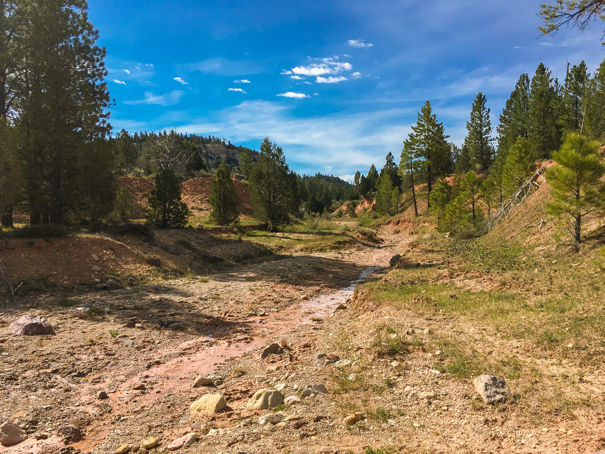 Stream on Cassidy trail hike in Bryce Canyon