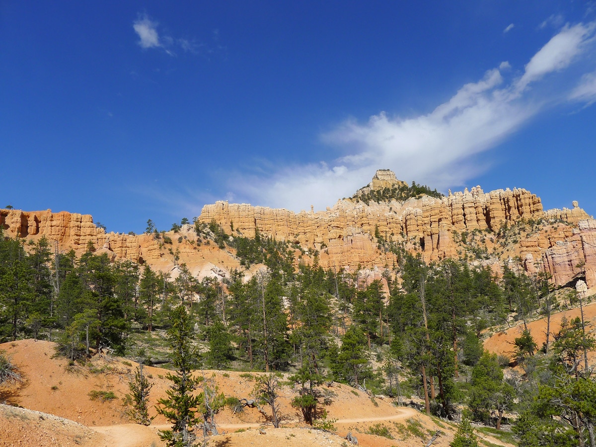 Fairyland Loop Trail hike in Bryce Canyon National Park has a beautiful view of the Canyon Rim