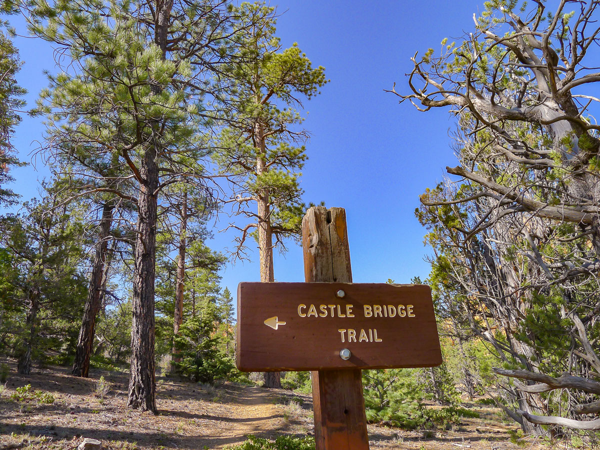 Trail junction on Golden Wall / Castle Bridge Loop trail hike in Bryce Canyon National Park