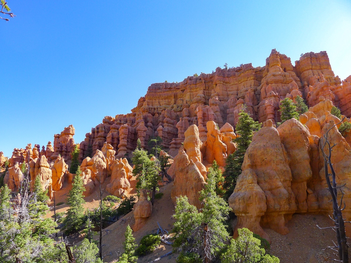 Great scenery from Golden Wall / Castle Bridge Loop trail hike in Bryce Canyon National Park