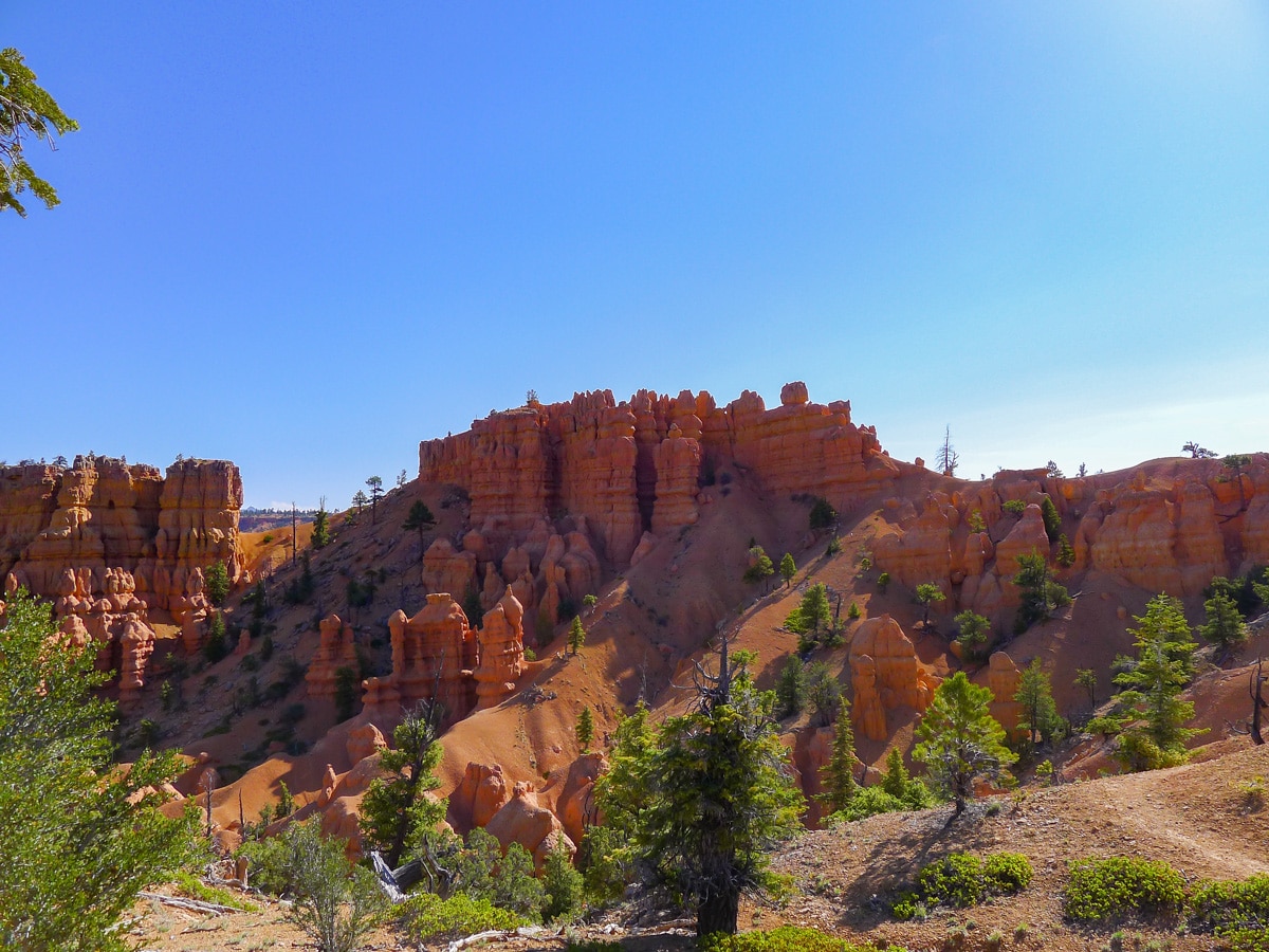 Golden Wall / Castle Bridge Loop trail hike in Bryce Canyon National Park is surrounded by beautiful hoodoos