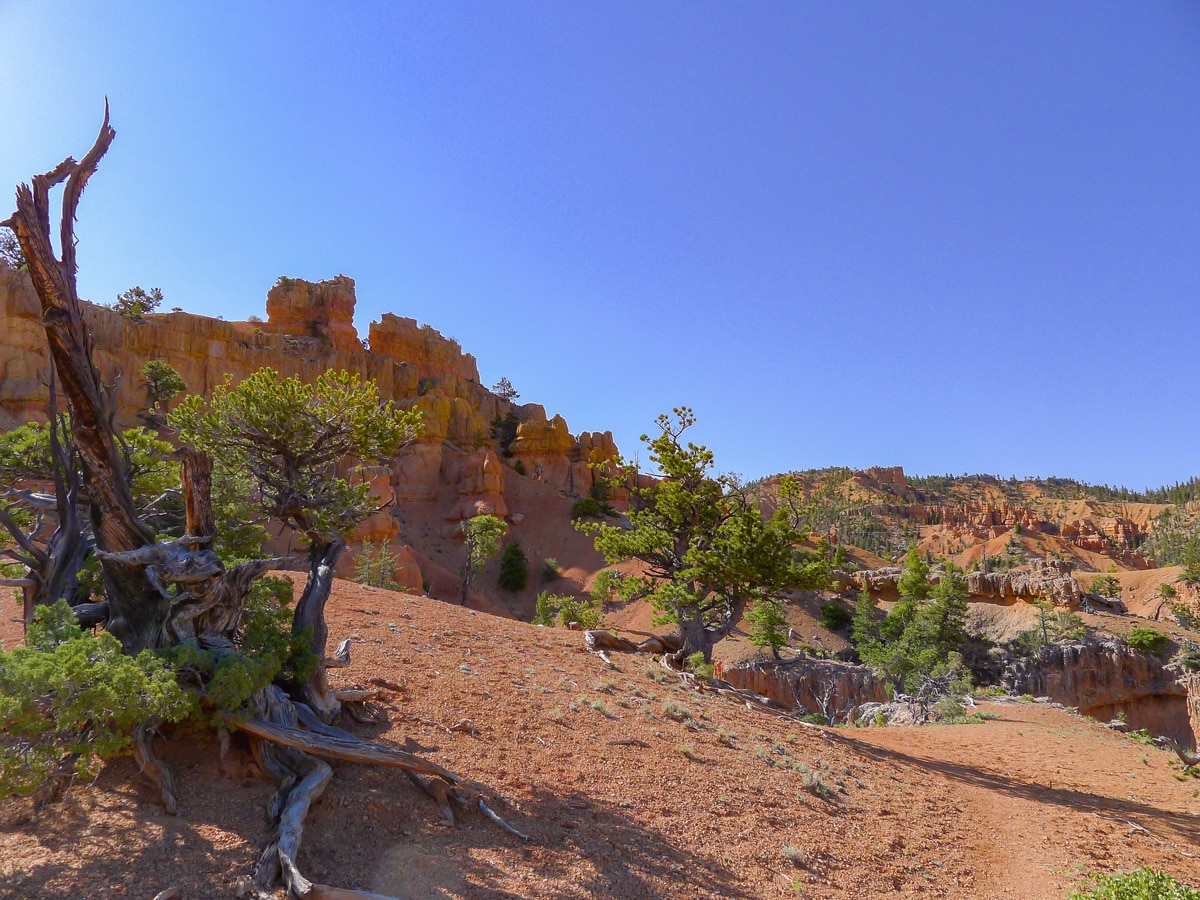 Highest point of the trail on Golden Wall / Castle Bridge Loop trail hike in Bryce Canyon National Park