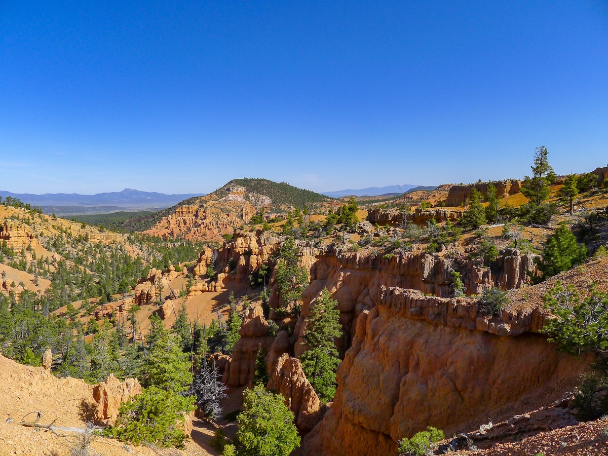 Hoodoos and cliffs on Golden Wall / Castle Bridge Loop trail hike in Bryce Canyon National Park