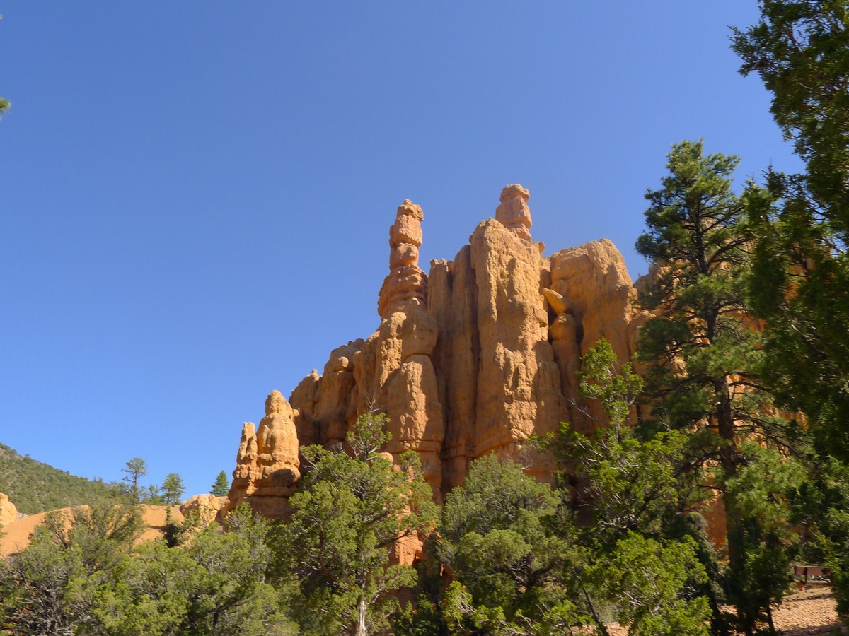 Impressive hoodoos on Bristlecone Loop trail hike in Bryce Canyon National Park