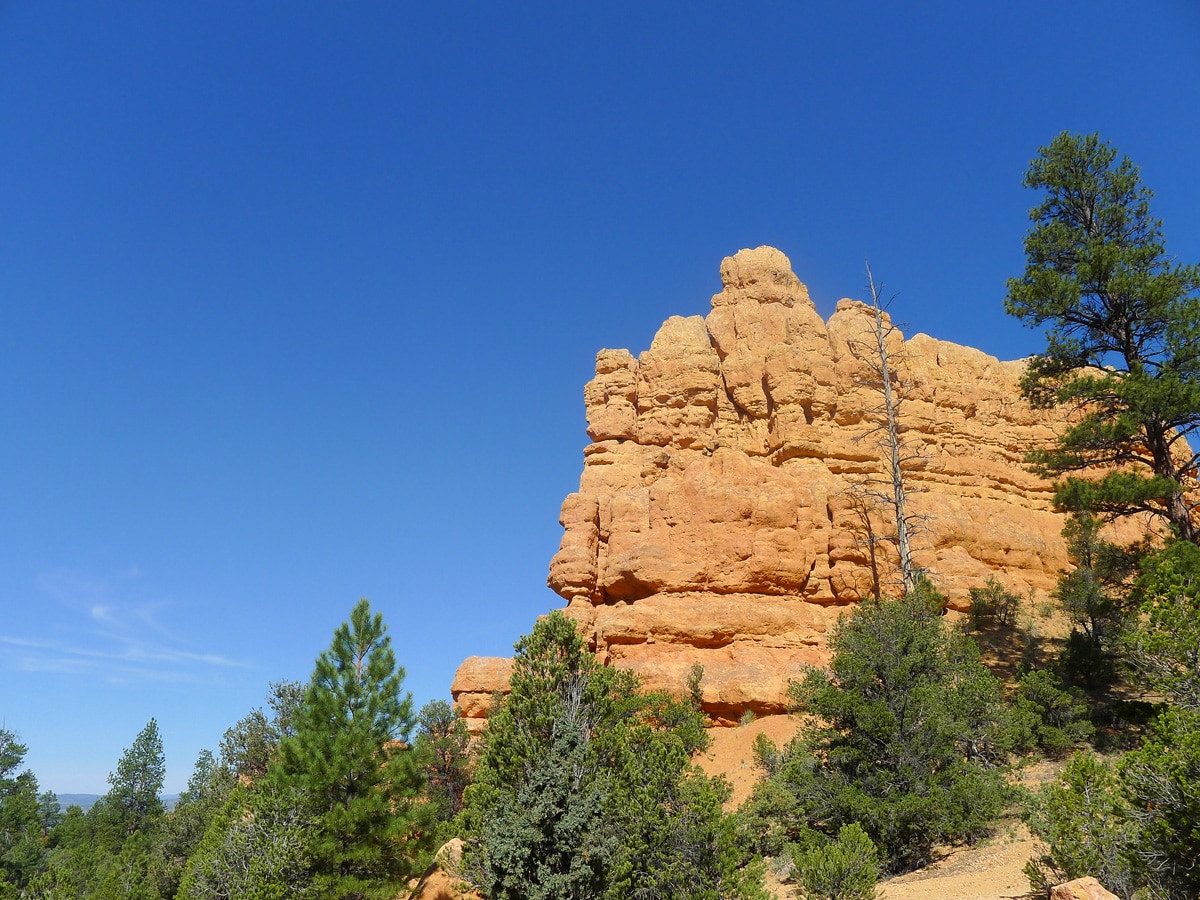 Ribbed rock fins on Bristlecone Loop trail hike in Bryce Canyon National Park