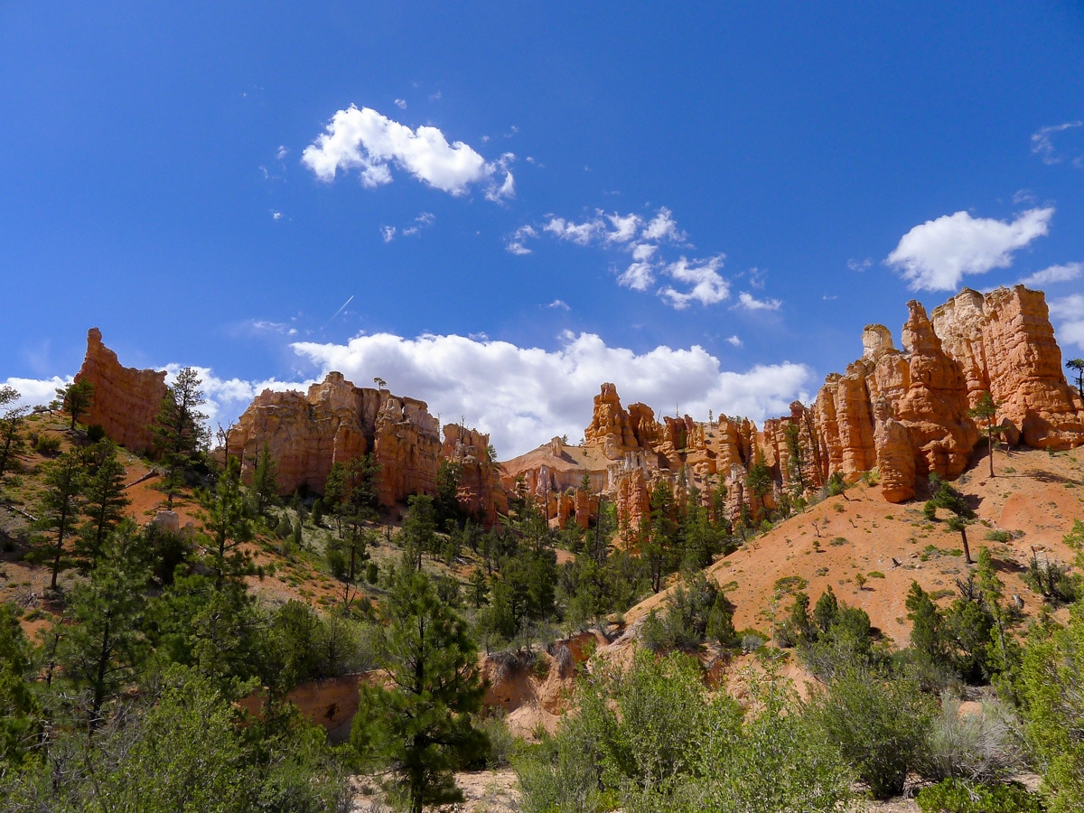 Beautiful hoodoos surrounding Mossy Cave trail hike in Bryce Canyon National Park