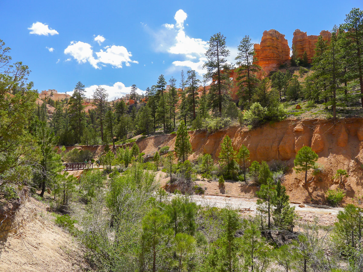 Beginning of Mossy Cave trail hike in Bryce Canyon National Park