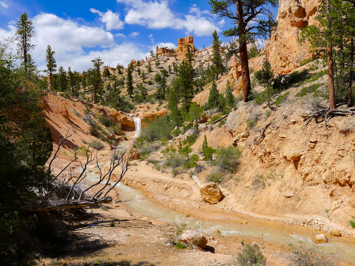 River and waterfall Mossy Cave trail hike in Bryce Canyon National Park