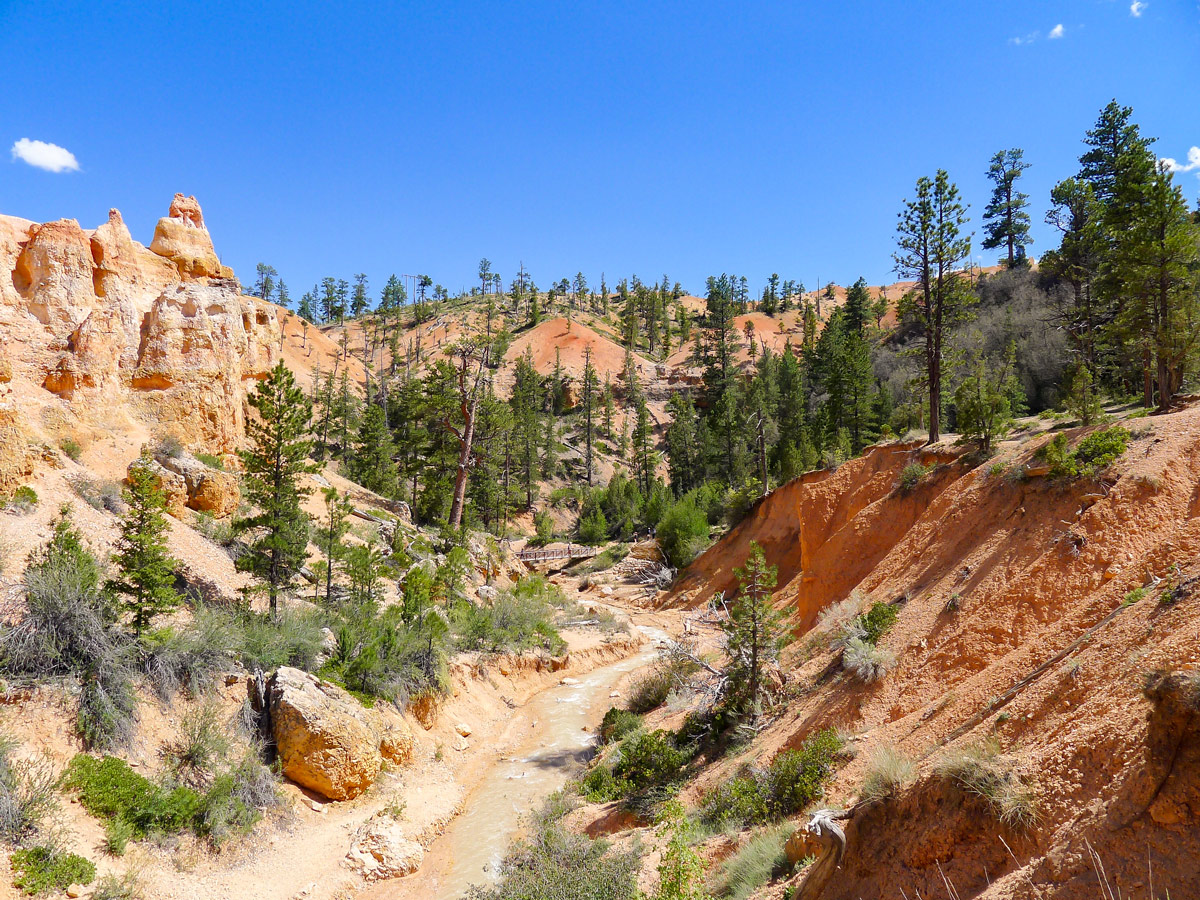 Looking down the river from the waterfall on Mossy Cave trail hike in Bryce Canyon National Park
