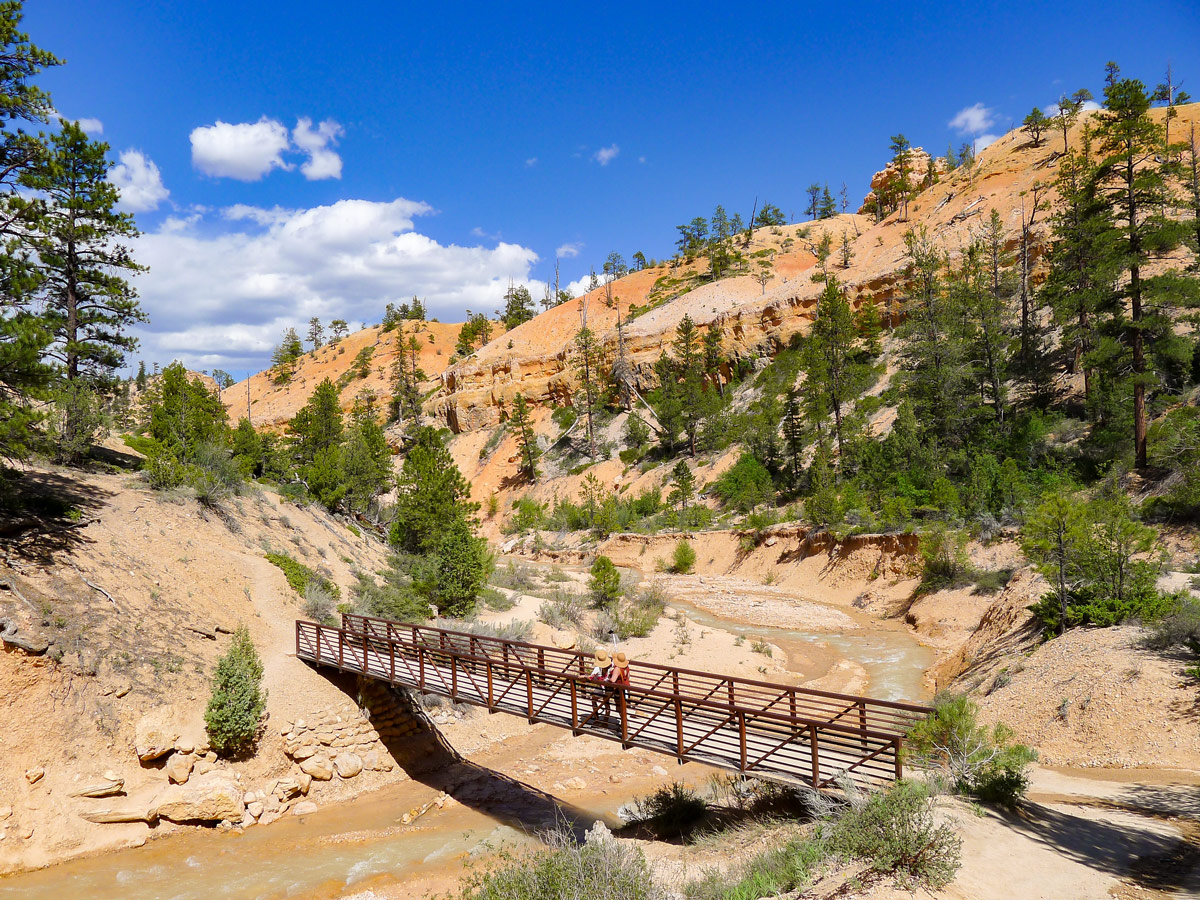 Bridge on Mossy Cave trail hike in Bryce Canyon National Park