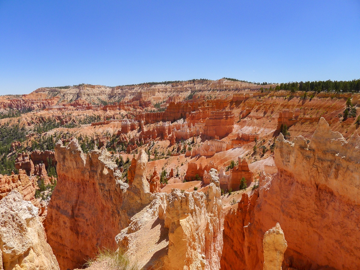 Queens Garden to Navajo Loop trail hike in Bryce Canyon National Park is surrounded by beautiful hoodoos