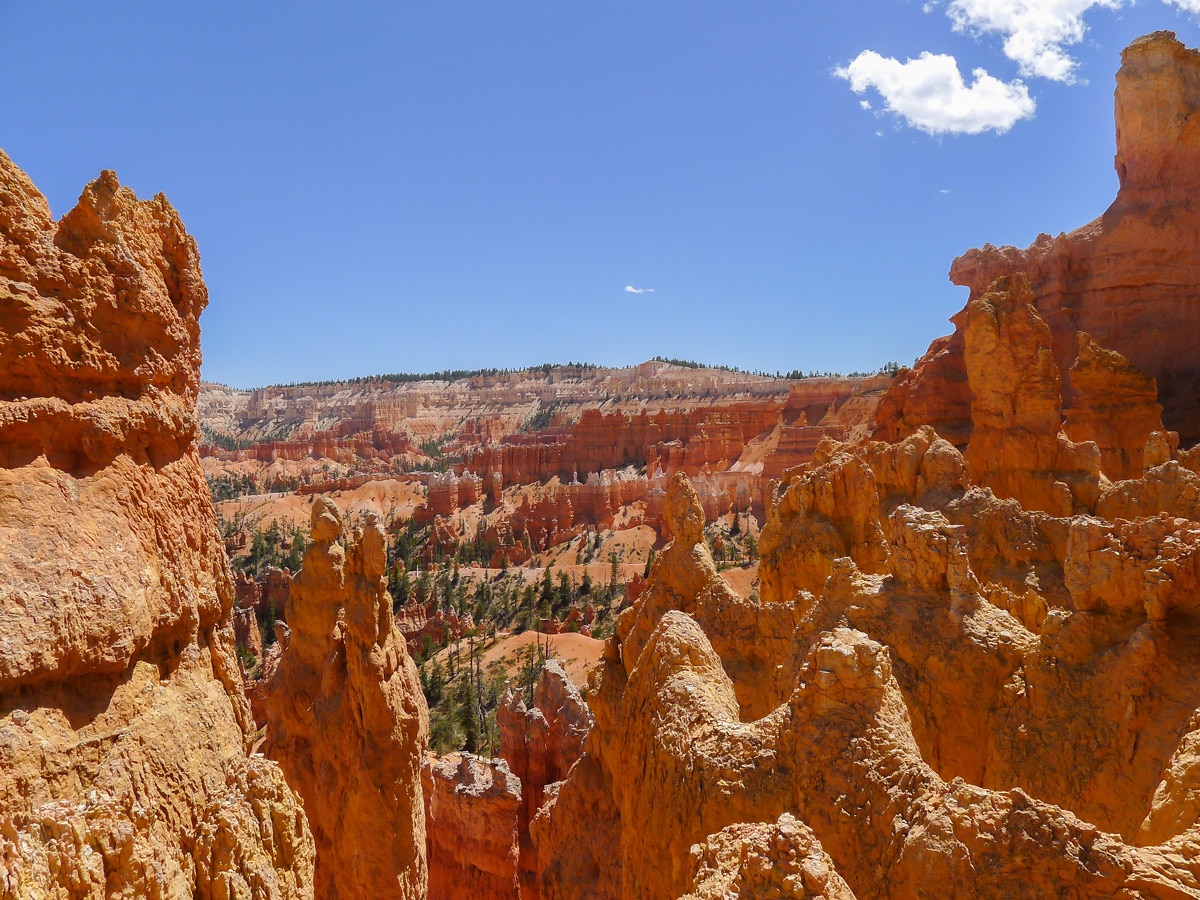 Hoodoos surrounding Queens Garden to Navajo Loop trail hike in Bryce Canyon National Park