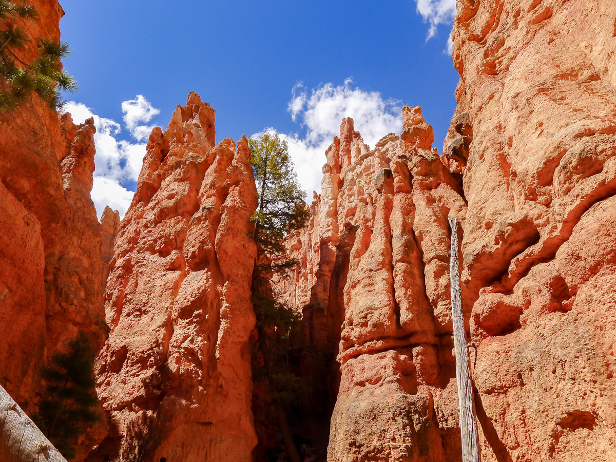 Beautiful views on Queens Garden to Navajo Loop trail hike in Bryce Canyon National Park