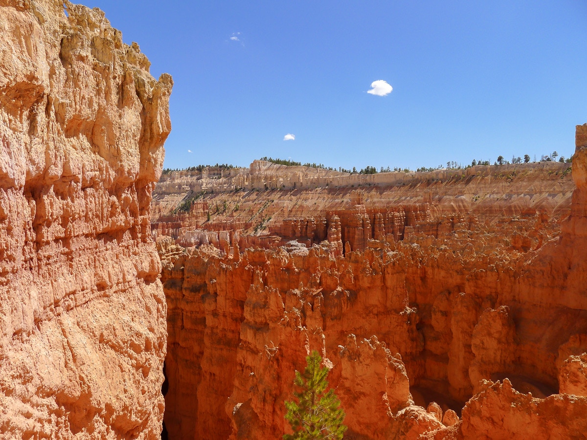 Great views on Queens Garden to Navajo Loop trail hike in Bryce Canyon National Park