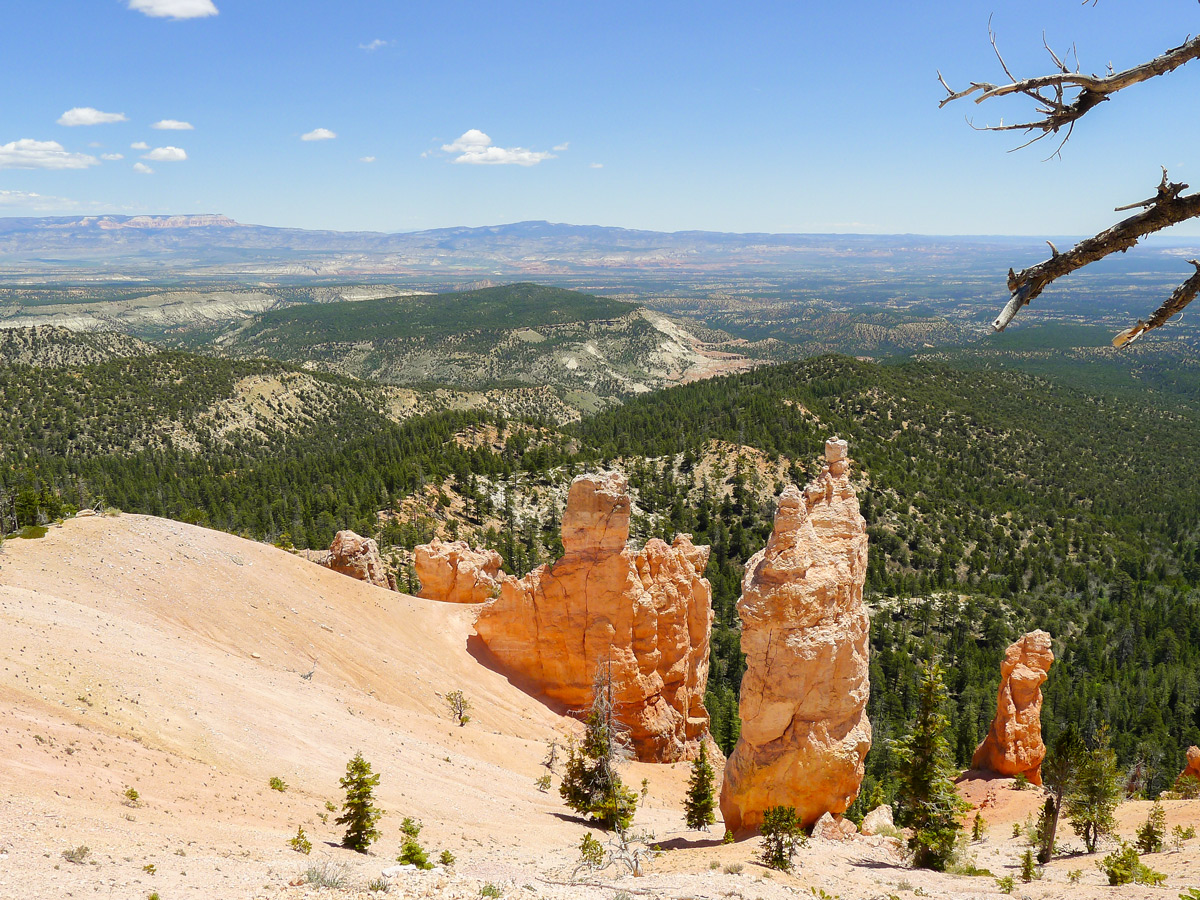 Cassidy trail hike in Bryce Canyon National Park is surrounded by hoodoos