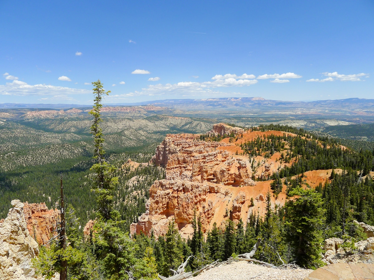 View north to the rim on Cassidy trail hike in Bryce Canyon National Park