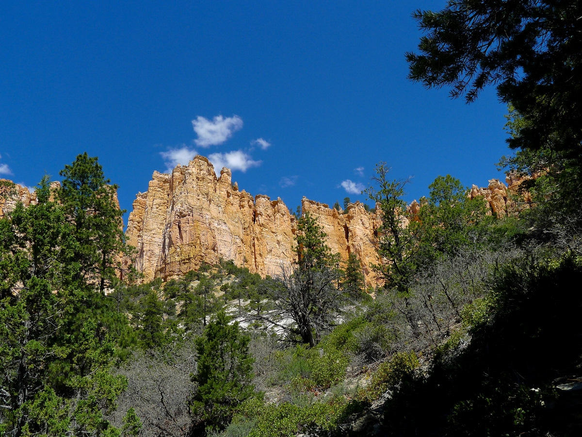 White cliffs on Swamp Canyon trail hike in Bryce Canyon National Park