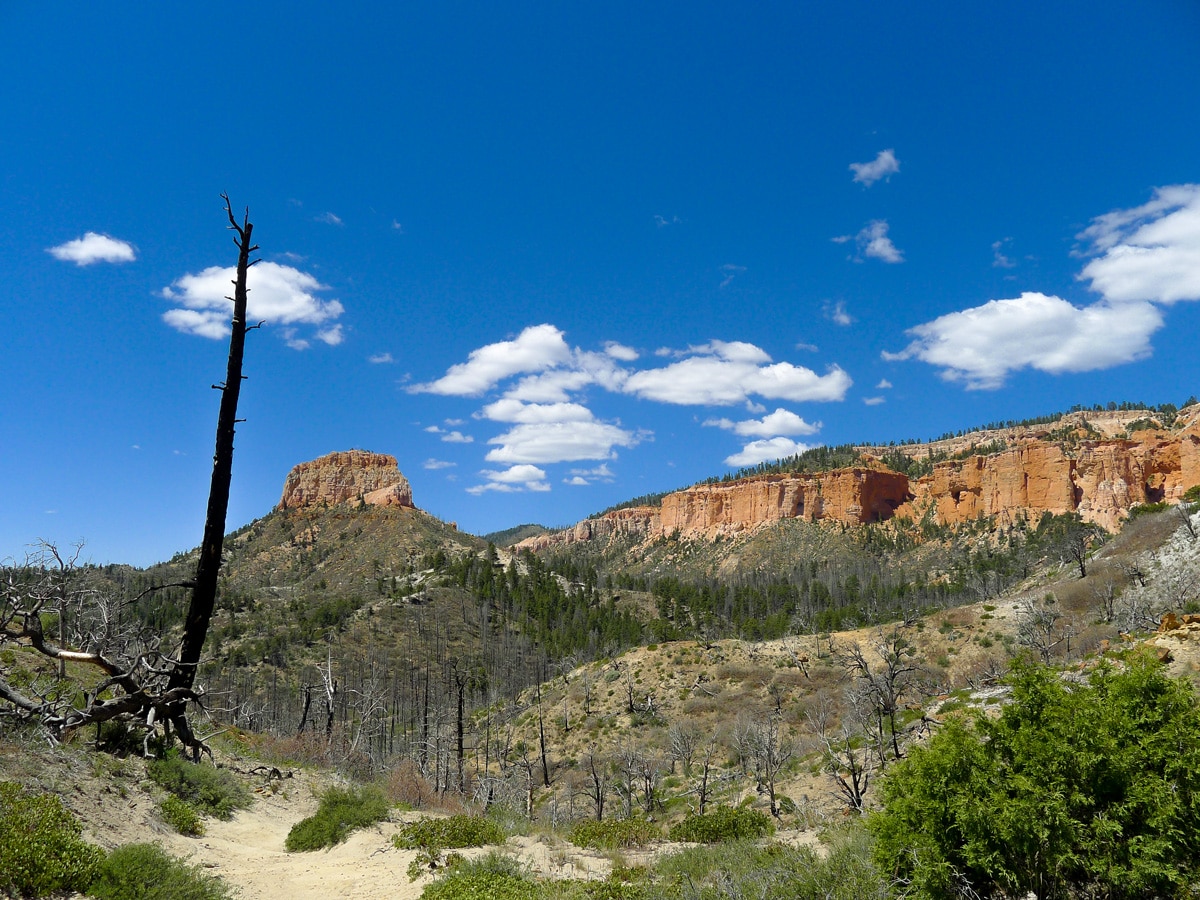 Swamp Canyon trail hike in Bryce Canyon National Park has messa views below the canyon rim